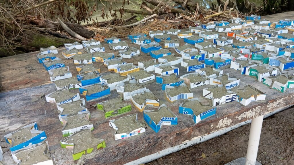 PRÓ-MAR prepara participantes para atuar em conservação e turismo de base comunitária